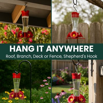 Image showing 6 th Perky-Pet 8 oz. Pinch-Waist Glass Hummingbird Nectar Feeder