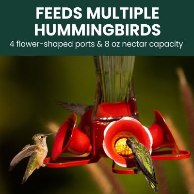 Image showing 8 th Perky-Pet 8 oz. Pinch-Waist Glass Hummingbird Nectar Feeder