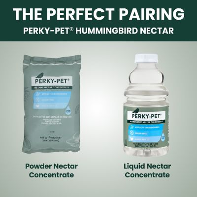 Image showing 10 th Perky-Pet 8 oz. Pinch-Waist Glass Hummingbird Nectar Feeder