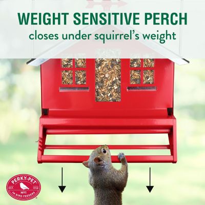 Image showing  Squirrel-Be-Gone II Country Bird House with Weathervane
