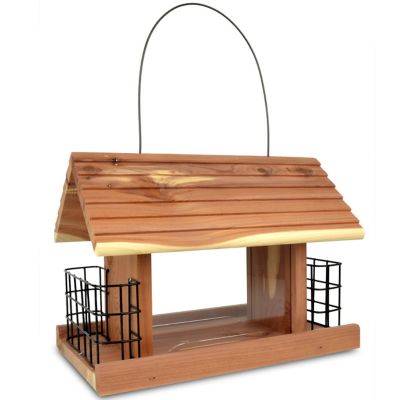 Outdoor Bird Feeders