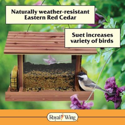 Image showing  3.75 lb. Cedar Snack Shack Bird Feeder