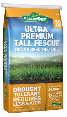 GroundWork 50 lb. Ultra Premium Tall Fescue Grass Seed Mixture