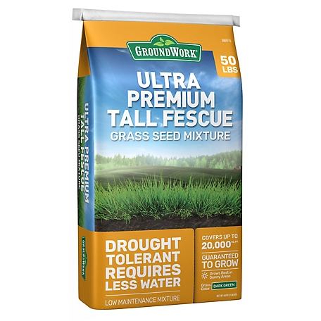 GroundWork 50 lb. Ultra Premium Tall Fescue Grass Seed Mixture