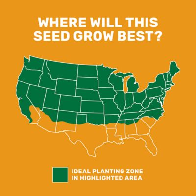 Image showing  50 lb. 20,000 sq. ft. Ultra Premium Tall Fescue Grass Seed Mixture