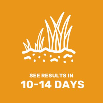 Image showing 5 th GroundWork 50 lb. 20,000 sq. ft. Ultra Premium Tall Fescue Grass Seed Mixture