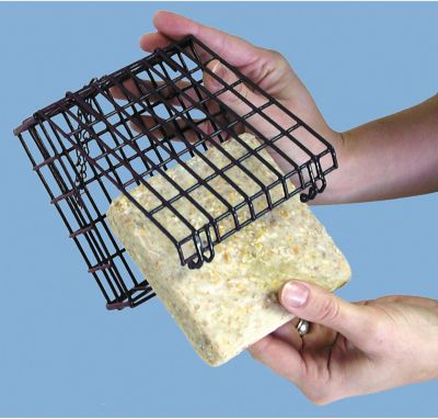 Image showing  1 Cake Capacity Deluxe Suet Bird Feeder