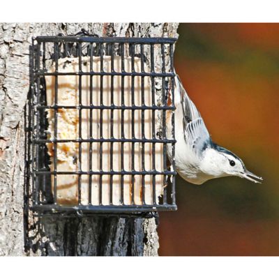 Image showing  1 Cake Capacity Deluxe Suet Bird Feeder
