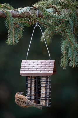 Image showing  2 Cake Capacity Suet Bird Feeder