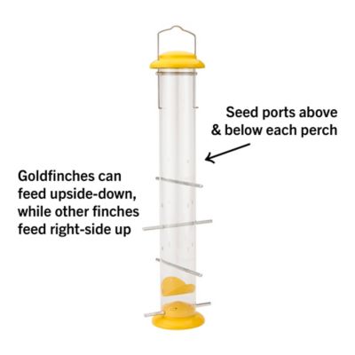 Image showing  1.46 lb. Topsy Tails Finch Bird Feeder