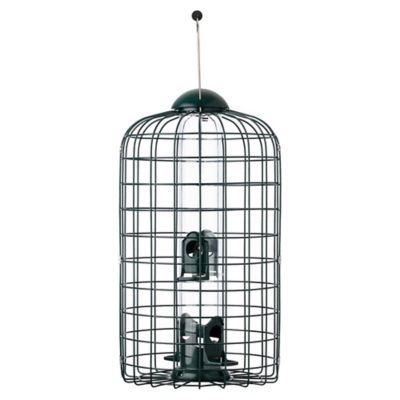 Squirrel-X 1.5 lb. Squirrel-Proof Caged Bird Feeder