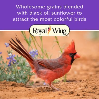 Image showing  Farm Mix Wild Bird Food