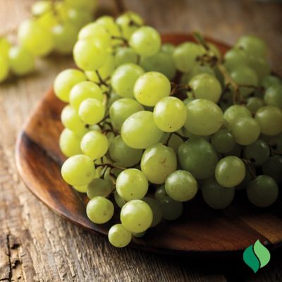 Image showing  Grape Niagara