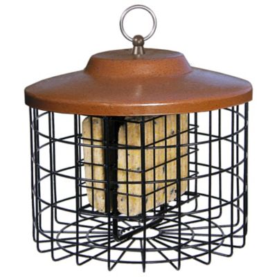 squirrel proof bird feeder tractor supply