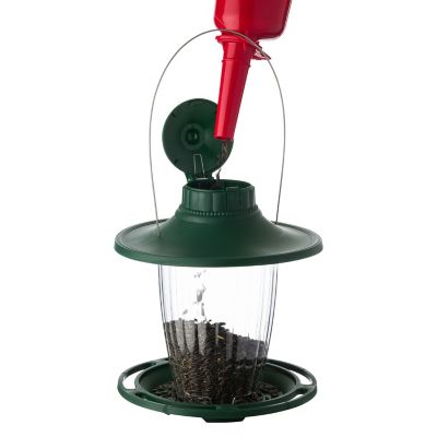 Image showing  1.33 lb. Plastic Bird Seed Scoop