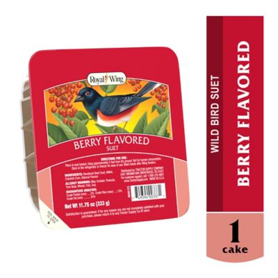 Royal Wing All-Season Berry Flavor Suet, 11.75 oz.