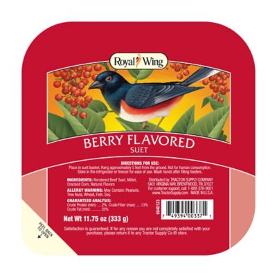 Image showing  All-Season Berry Flavor Suet Cake, 11.75 oz.