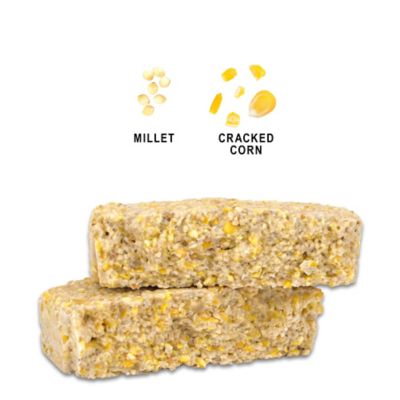 Image showing  All-Season Berry Flavor Suet Cake, 11.75 oz.