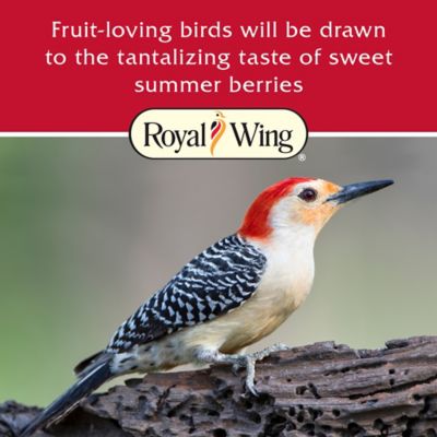 Image showing  All-Season Berry Flavor Suet Cake, 11.75 oz.