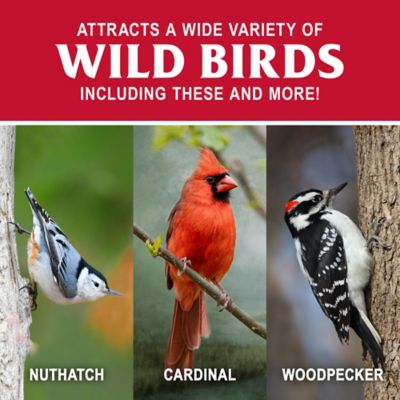 Image showing  All-Season Berry Flavor Suet Cake, 11.75 oz.