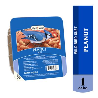 Royal Wing Peanut Flavor Suet, 11 oz.