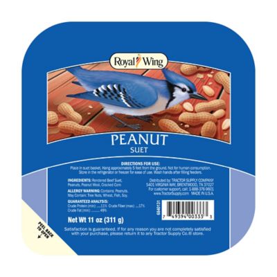 Image showing  Peanut Suet Cakes