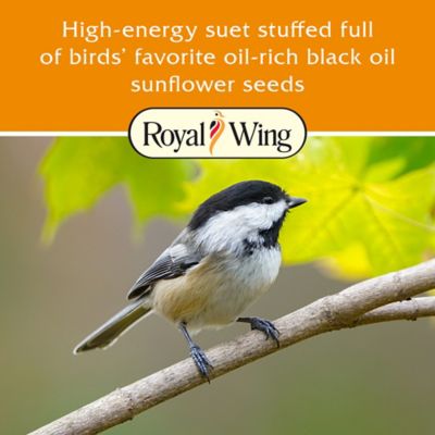 Image showing  Sunflower Flavor Suet Cake, 9 oz.