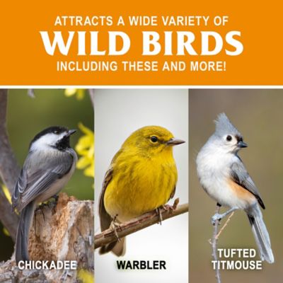 Image showing  Sunflower Flavor Suet Cake, 9 oz.