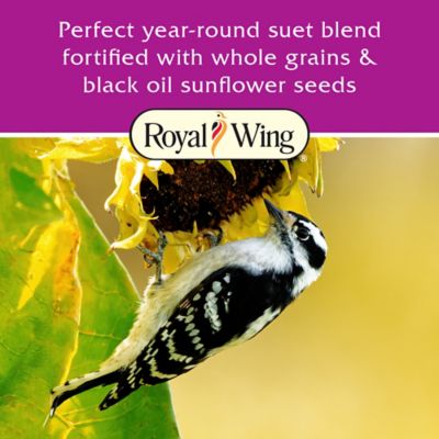 Image showing  Hi-Energy Suet Cakes