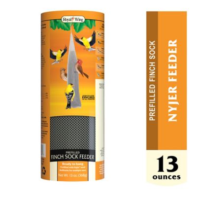 Royal Wing Finch Sock Feeder Prefilled With Nyjer Seed 13 Oz At