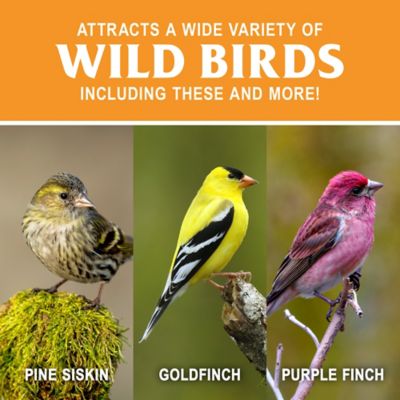 Image showing  13 oz. Prefilled Finch Sock Bird Feeder