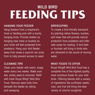 Image showing  Wild Bird Food Value Mix, 35 lb.