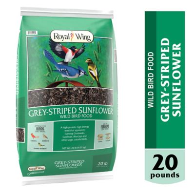 Royal Wing Grey-Striped Sunflower Wild Bird Food, 20 lb.