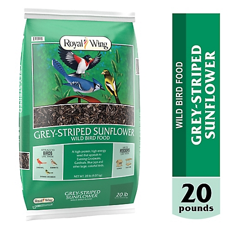 Royal Wing Grey-Striped Sunflower Wild Bird Food, 20 lb.