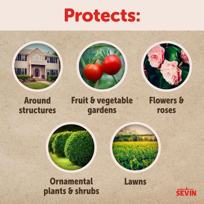 Image showing  1 lb. GardenTech Ready-to-Use Dust Insect Killer