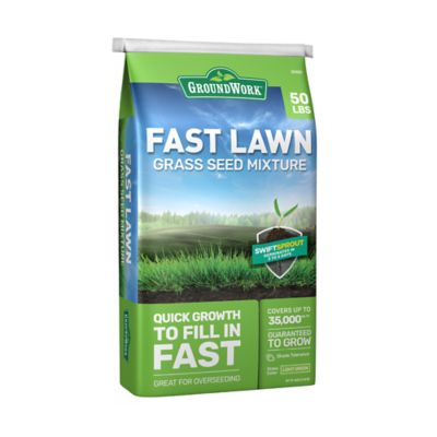 GroundWork 50 lb. 35,000 sq. ft. Fast Lawn Grass Seed Mixture