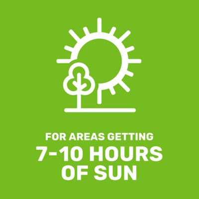 Image showing  50 lb. 35,000 sq. ft. Fast Lawn Grass Seed Mixture