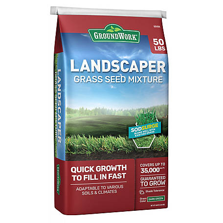 GroundWork 50 lb. Landscapers Mix Grass Seed, North