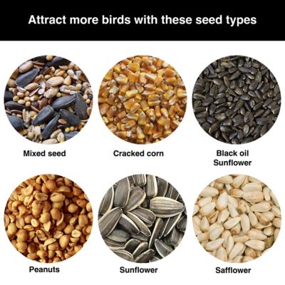 Image showing  5 lb. Prairie Style Bird Feeder