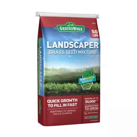 GroundWork 50 lb 350 sq ft Landscaper's Grass Seed Mix South Grass Seed