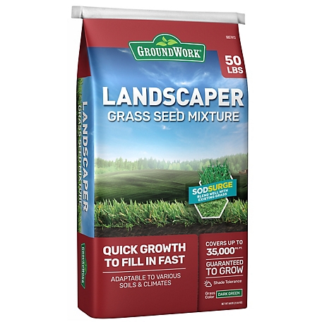 GroundWork 50 lb. Landscapers Mix Grass Seed, South