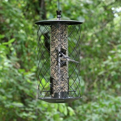 Image showing  The Preserve Squirrel-Resistant Wild Bird Feeder, 3 lb. Capacity