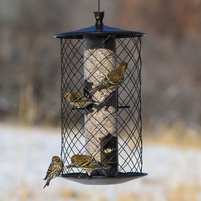 Image showing  The Preserve Squirrel-Resistant Wild Bird Feeder, 3 lb. Capacity