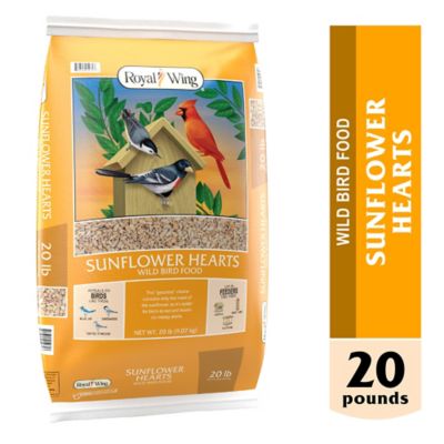 Royal Wing Sunflower Hearts Wild Bird Food, 20 lb.