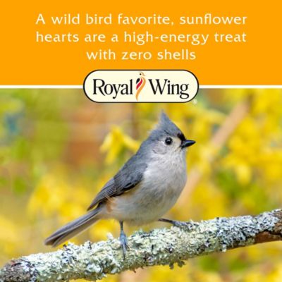 Image showing  Sunflower Hearts Wild Bird Food