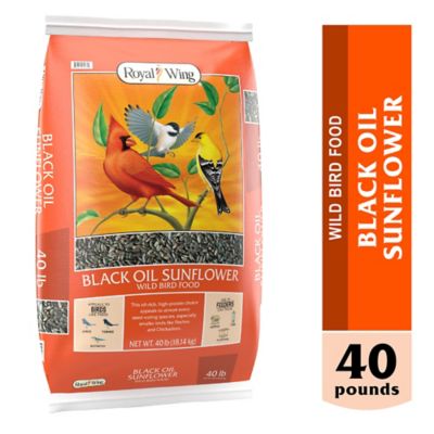 Royal Wing Black Oil Sunflower Wild Bird Food, 40 lb. Price pending