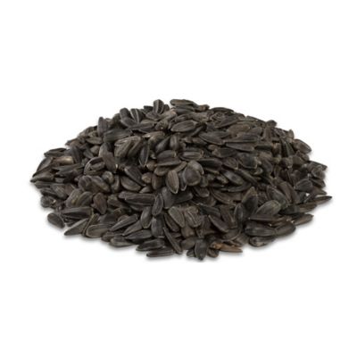 Image showing  Black Oil Sunflower Wild Bird Food