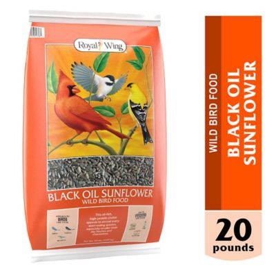 Royal Wing Black Oil Sunflower Wild Bird Food, 20 lb.