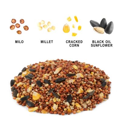Image showing  Wild Bird Food Value Mix, 20 lb.