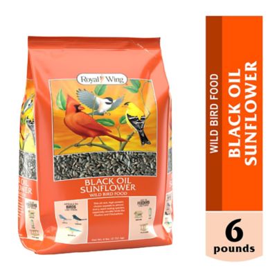 Royal Wing Black Oil Sunflower Wild Bird Food, 6 lb.